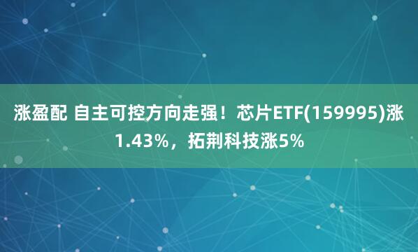涨盈配 自主可控方向走强！芯片ETF(159995)涨1.43%，拓荆科技涨5%