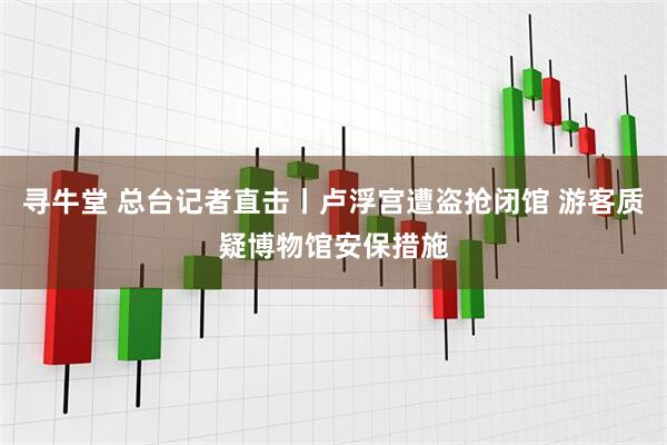 寻牛堂 总台记者直击丨卢浮宫遭盗抢闭馆 游客质疑博物馆安保措施