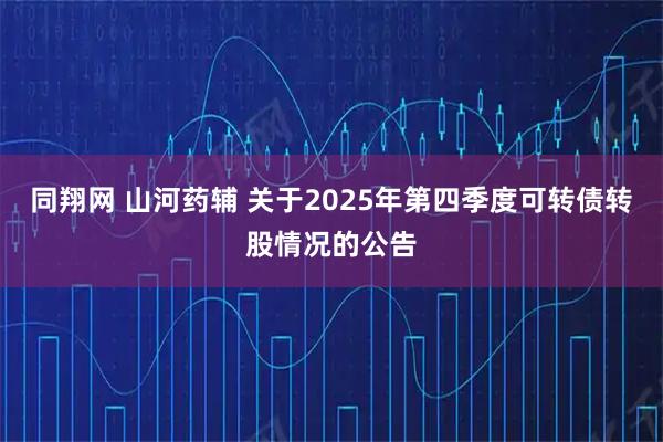 同翔网 山河药辅 关于2025年第四季度可转债转股情况的公告