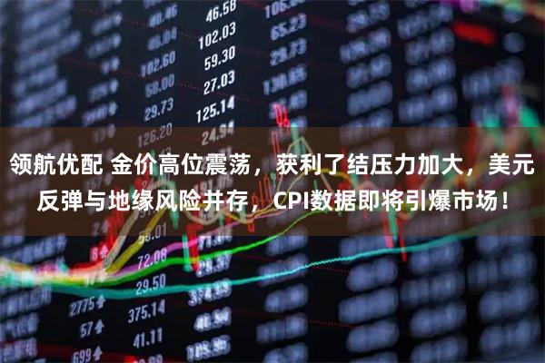 领航优配 金价高位震荡，获利了结压力加大，美元反弹与地缘风险并存，CPI数据即将引爆市场！