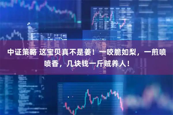 中证策略 这宝贝真不是姜！一咬脆如梨，一煎喷喷香，几块钱一斤贼养人！