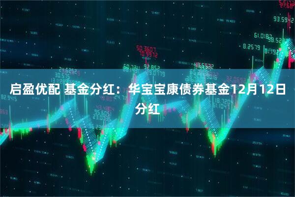 启盈优配 基金分红：华宝宝康债券基金12月12日分红