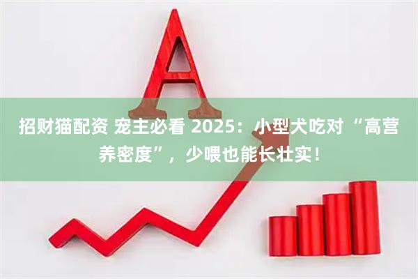 招财猫配资 宠主必看 2025：小型犬吃对 “高营养密度”，少喂也能长壮实！